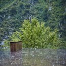 빗물 화장실 이미지