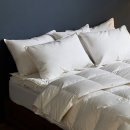 (주)에이스텍스 이미지