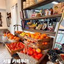 숲카페 - 수성구 | 숲카페