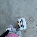 (유)진렌터카 이미지