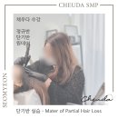 채우다SMP아카데미 이미지