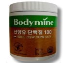 마인