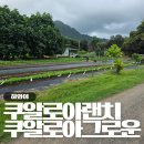 다소농장 | 하와이 쿠알로아 그로운, 쿠알로아랜치 농장 투어 후기