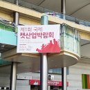 2017.04.23 1회 국제캣산업박람회 코엑스를 다녀왔어요 :D