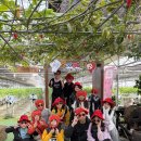 용인대 태풍태권도장 이미지