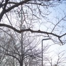 쌀쌀한 날씨에 시원한 육회 비빔밥 이미지