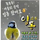 얼 굴 (오늘은 19번째 절기인 입동 立冬) 이미지