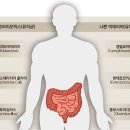 형제약국 이미지