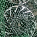 개인카센타 이미지