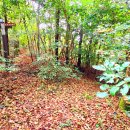 낙동강자전거길 이미지