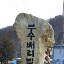 부수배리빌리지 솔미하우스 | 부수배리빌리지 메인 안내석 세우다