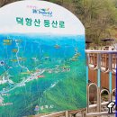 삼척홀릭