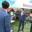 제17회 청마문학제 | 거제시 정원산업박람회, 윈드서핑대회, 전국남여배구대회, 제17회 청마문학제