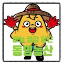 조이가농산
