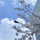 (집)(주)이마트노브랜드 광명소하점(3784) | 율곡캠핑장 | 65번째 캠핑 : 서울 근교 자연 캠핑장에서 조용한 힐링 즐기기