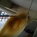 크린주택 네이버블로그