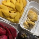 은하약국 | 나트랑 하바나호텔 후기 패밀리스위트룸 (그랩비용,조식,수영장,사우나,마사지 이용후기)