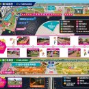 날개펴닭 | 경남 축제] 제25회 2025 마산가고파 국화축제 첫날 실시간 후기 먹거리 놀거리 개화 정보 드론쇼 찐 후기