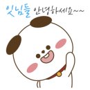 다올마트 이미지