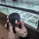 김안경센터 이미지