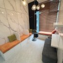 산본동물병원 | 산본동물병원 고양이 진료 잘 보는 곳은 여기! 24시 아프리카동물병원