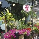 플라워가든 이미지