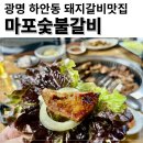 (집)맘마멤버스 하안점 | 광명 하안동 30년된 돼지갈비맛집 마포숯불갈비 24개월 아기도 잘먹어요 이제 여기로만 가렵니다
