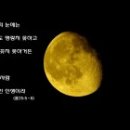 호리도(개도) 네이버블로그