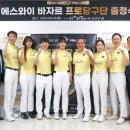 에스와이바자르 이미지