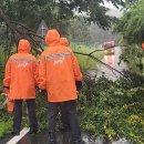 양주소방서 이미지