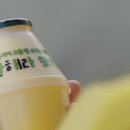 빙그레 쿠키뉴스