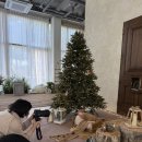 위례강변길 | [하남 소엘 스튜디오] 내돈내산 성장앨범 졸업! 위례 비비유어러브 vs 마틴스쇼룸 비교 후기