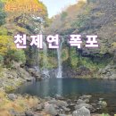 천제연폭포 | [천제연 폭포] 제주 천제연 폭포 후기