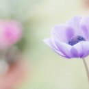 유정목장-2 이미지