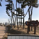 씨사이드파크 이미지