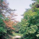 정원.(Jeong o.)