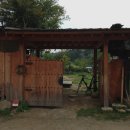 파랑새모텔 이미지