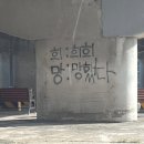 갓생 체험후기