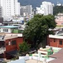 만덕1동-4 이미지