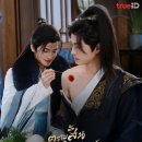 홍진 | 집착광공의 등장! 헤븐리 고장극 BL 추천 <자맥홍진> 리뷰 줄거리 결말 정보 후기