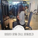 맘스터치서귀동홍점 | 서귀포 헬스장 마인드휘트니스 엉덩이 운동 머신 힙 어브덕션 운동 효과