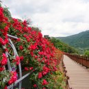 옥룡 GS마트 이미지