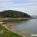 고성섬나들이 이미지