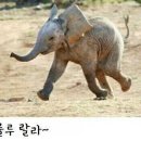 룰루랄라 이미지