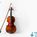 바이올린 심화과정 이미지