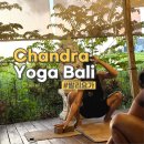 사마디요가 | 발리 짱구 Chandra yoga 찬드라요가 시간 후기 추천