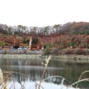 세모시 이미지