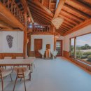 비안단테 이미지