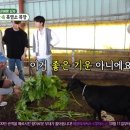 쌍둥이흑염소 네이버블로그