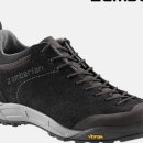 댕댕이 숲 이미지